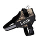 Dog Harness The Original Personalized