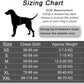 Dog Harness The Original Personalized
