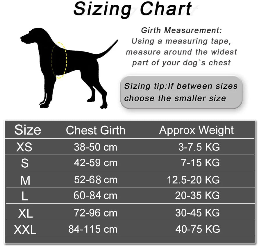 Dog Harness The Original Personalized