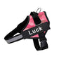 Dog Harness The Original Personalized