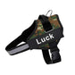 Dog Harness The Original Personalized