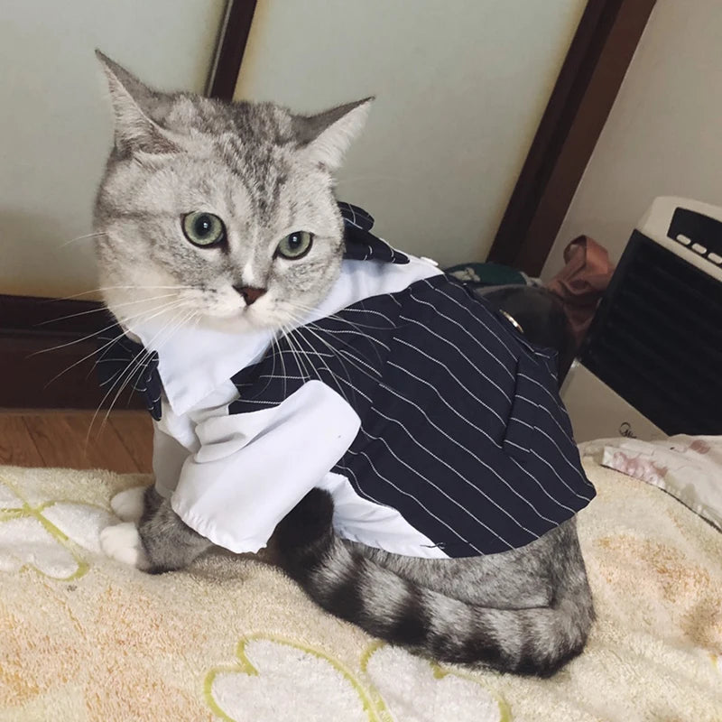 Cat Dog Party Suit Clothing