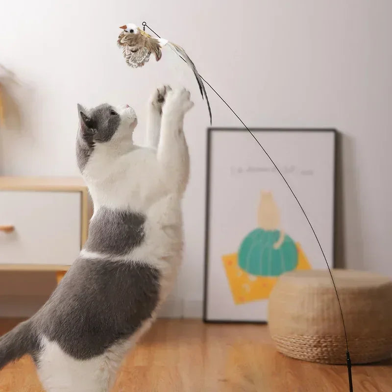 Cat Toy Funny Feather Bird