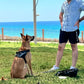 Dog Harness The Original Personalized
